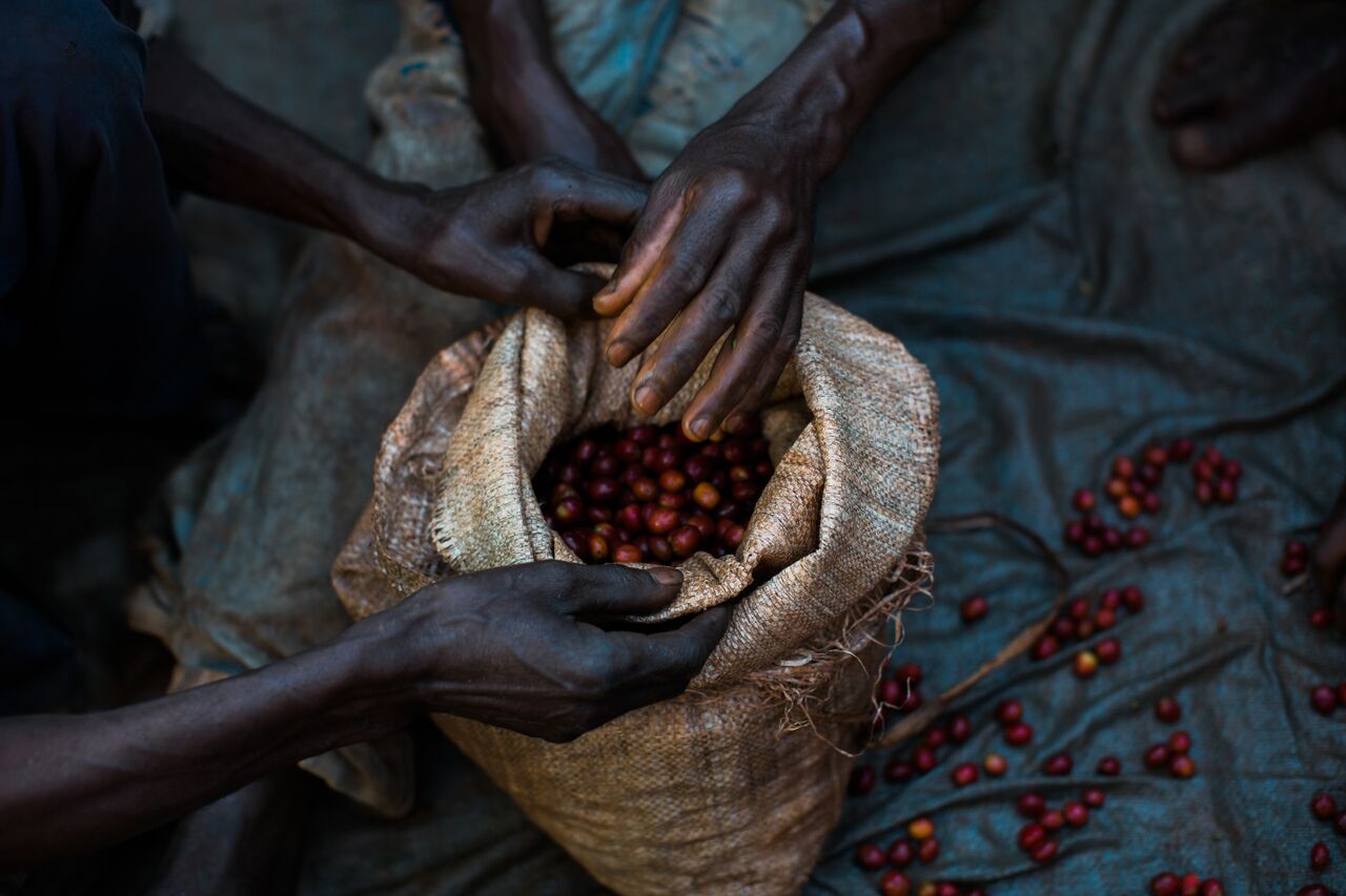 Coffee Magazine South Africa's dedicated coffee culture magazine.